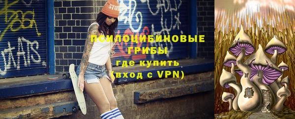 ешки Балахна