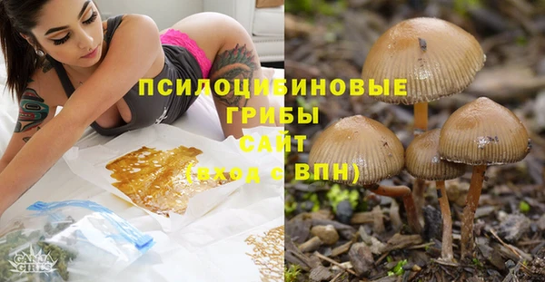 марки lsd Белокуриха